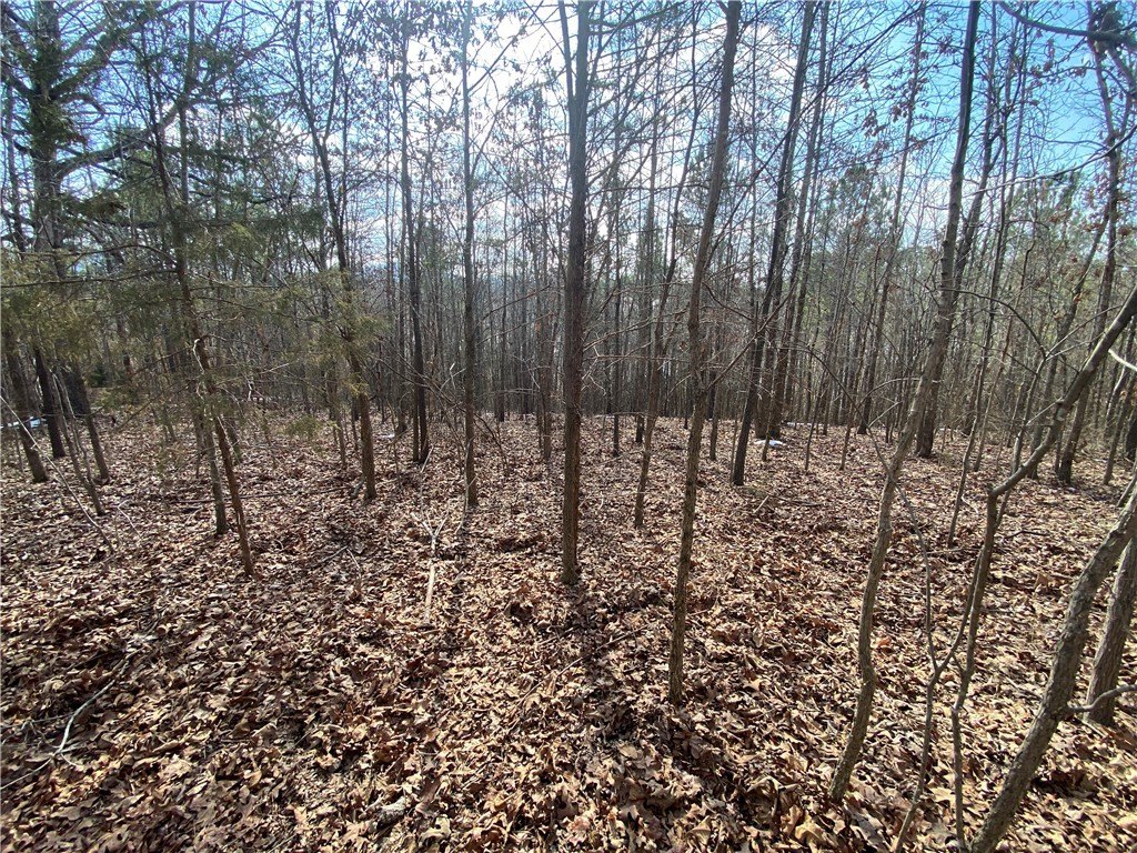 Picture 3
