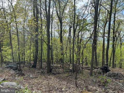 Land in Chester Gap, VA