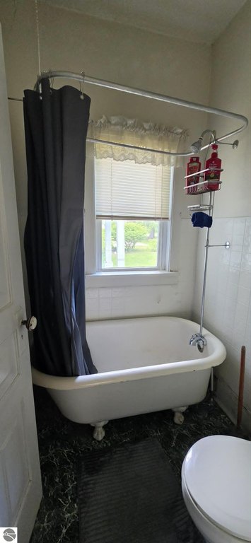 Picture 41