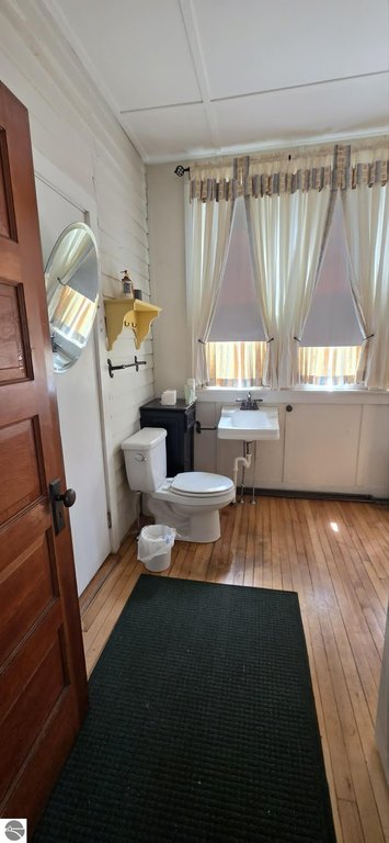 Picture 28
