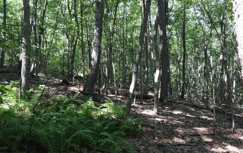 Residential Land in Claysburg, PA