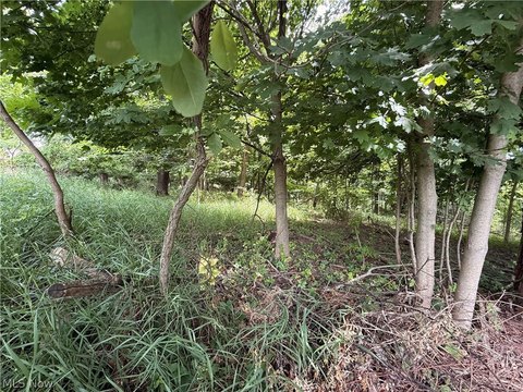 LAND - Malvern, OH
