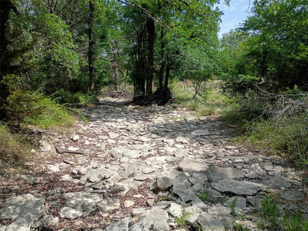 Picture 13