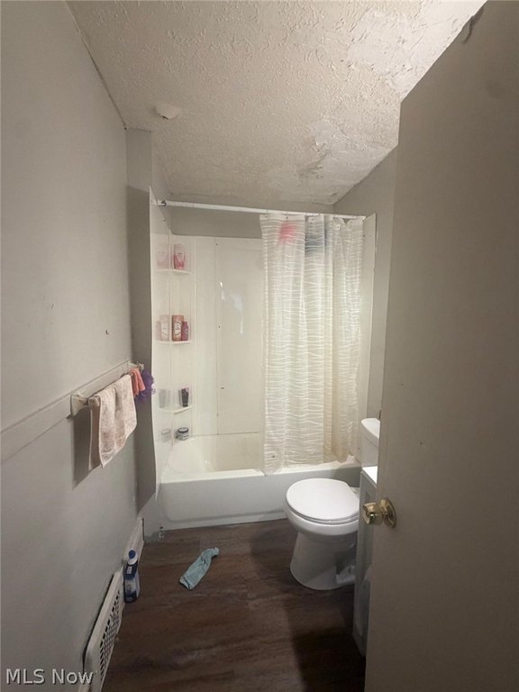 Picture 11