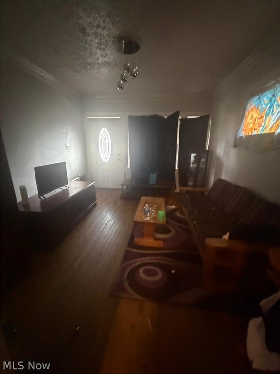 Picture 9