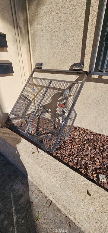 Picture 5