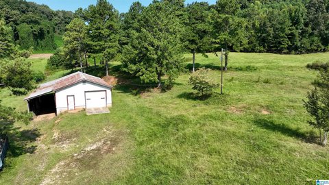 LAND/LOTS, SPRINGVILLE, AL