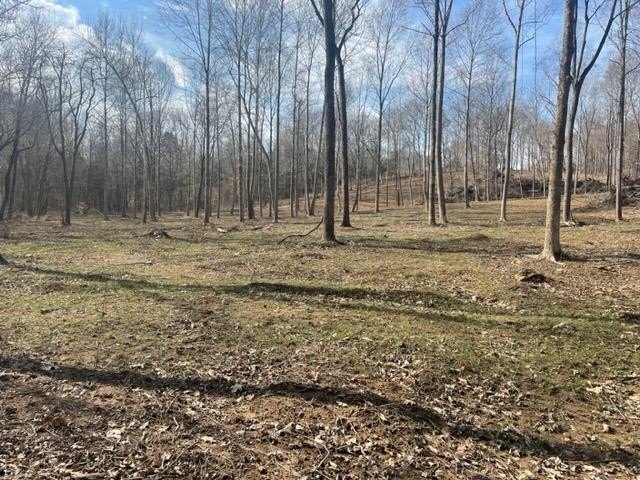 Land For Sale in Scottsville