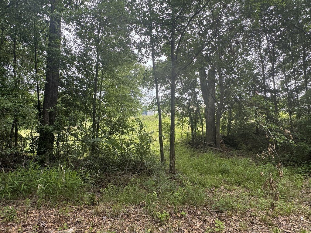 Picture 28