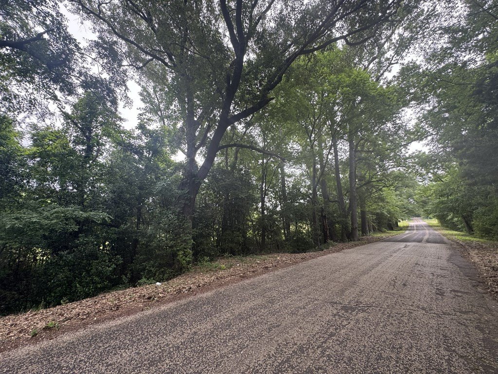 Picture 27