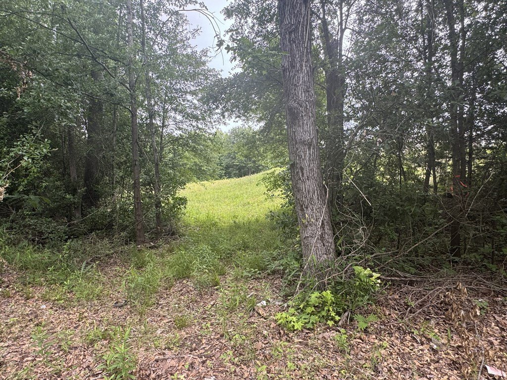 Picture 29