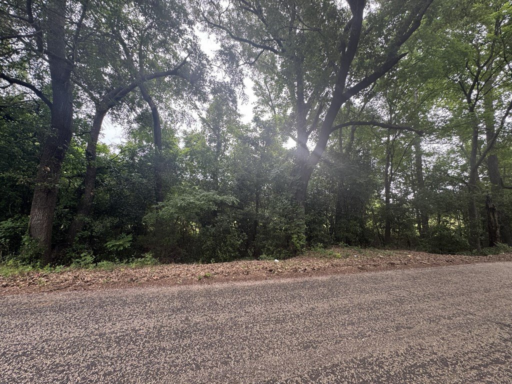 Picture 26