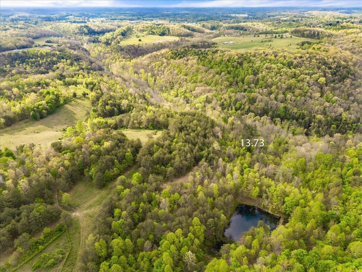 Unrestricted Land with Pond