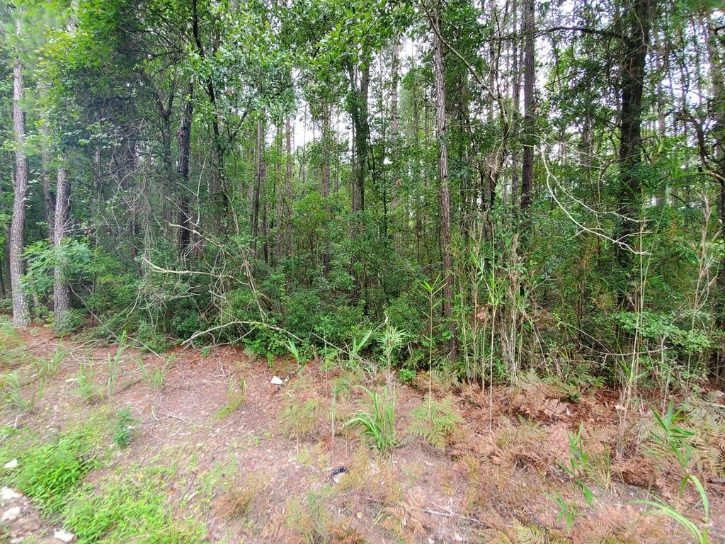 5.22 Acre Agricultural Land Parcel