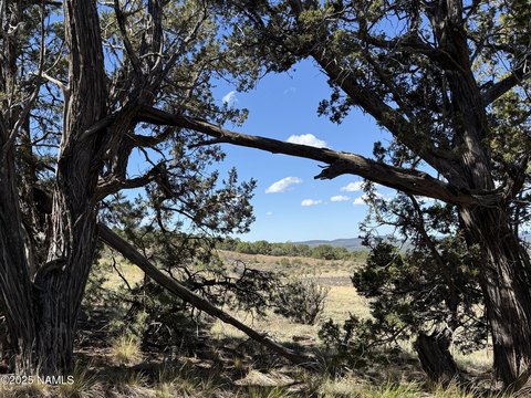 Scenic Land Near Grand Canyon