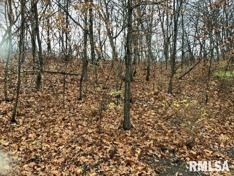 Land with Mature Trees