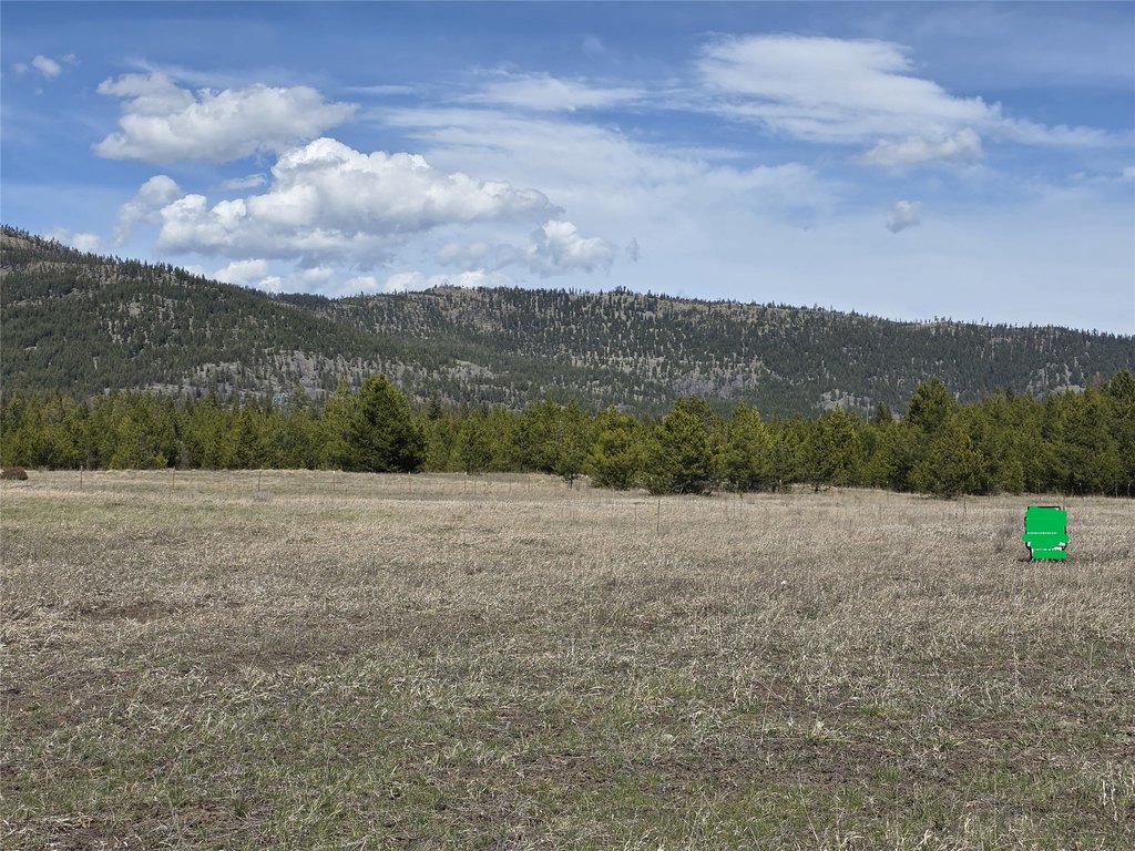 Picture 3