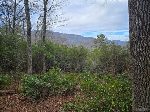 Lake Toxaway Mountain View Lot