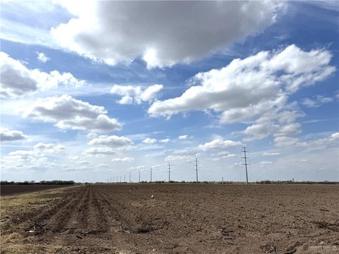 Agricultural Land in Weslaco, TX