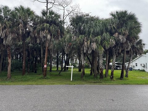Land, HERNANDO BEACH, FL