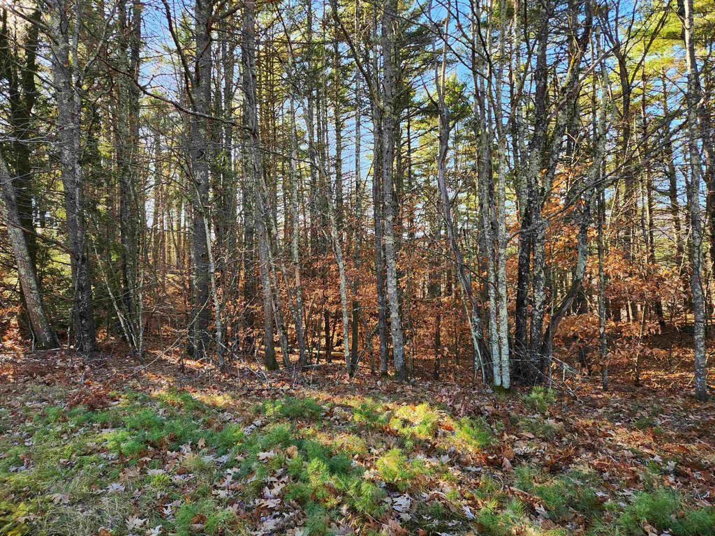 Picture 40