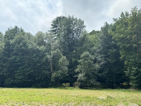 Level Commercial Lot with Easy Access