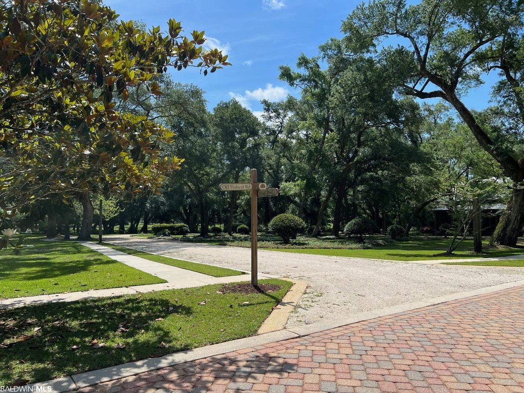 Picture 23