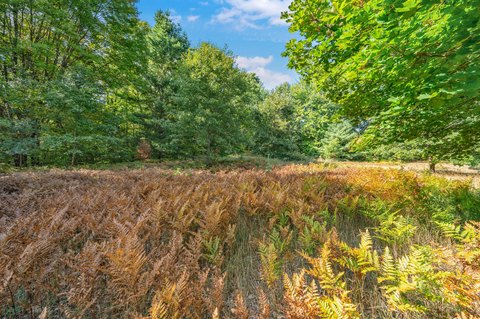 Partially Wooded Building Lot