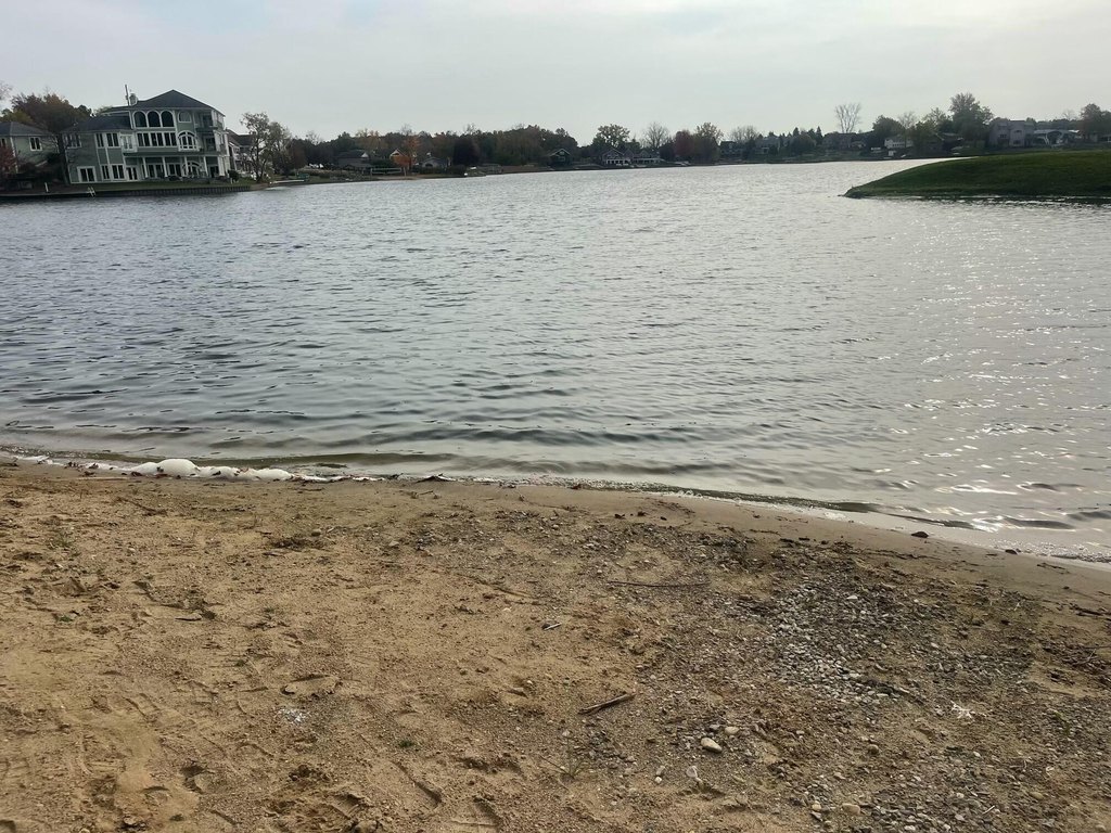 Picture 2