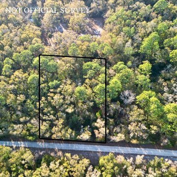 Levy County Buildable Lot