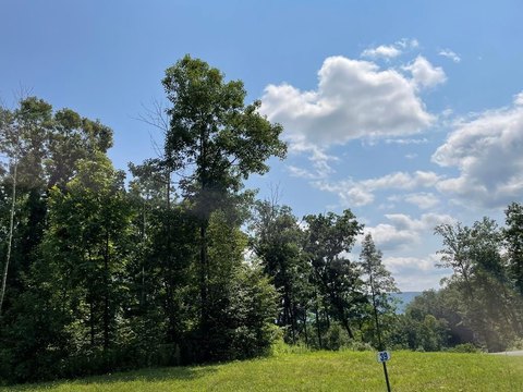 Residential Land with Mountain Views
