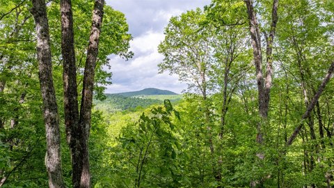 Glenville Land with Mountain Views