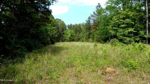 Land in Hopewell Community