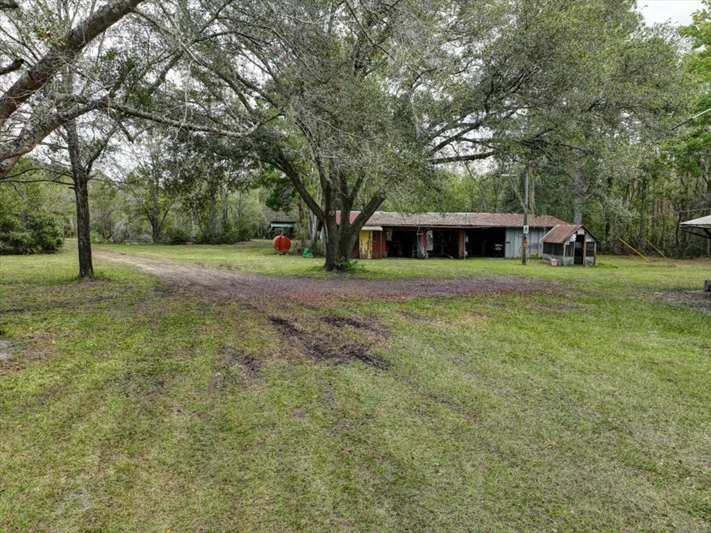 Picture 6