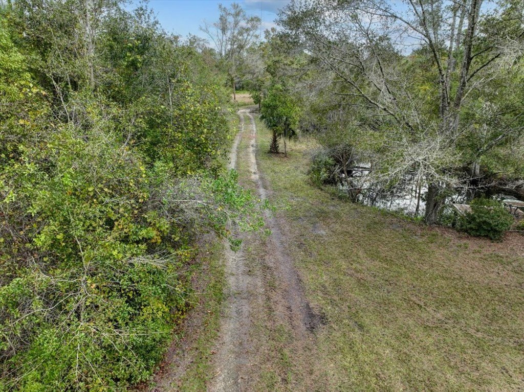 Picture 4