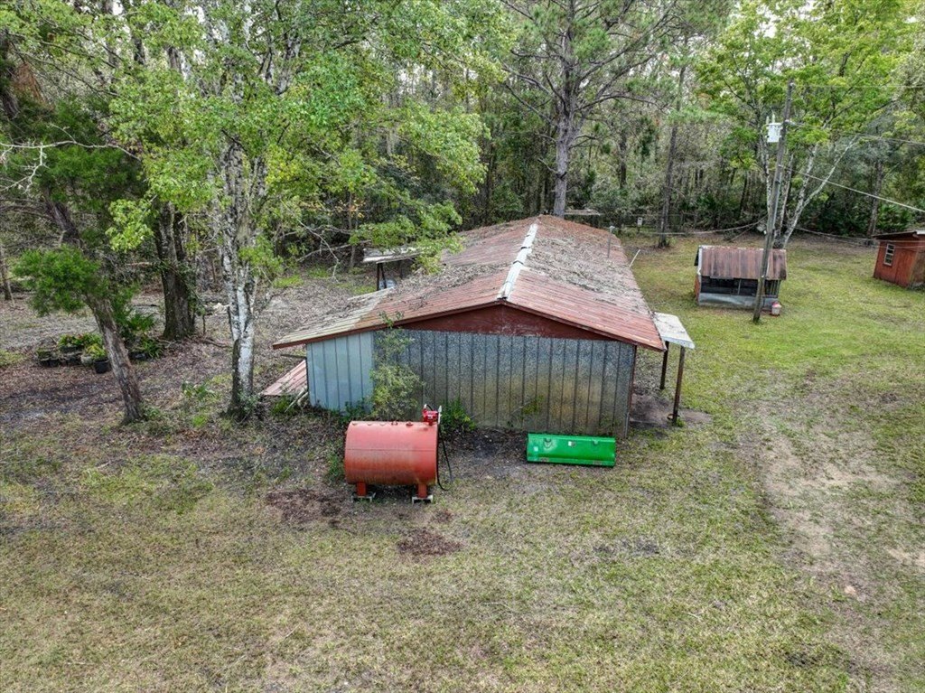Picture 8