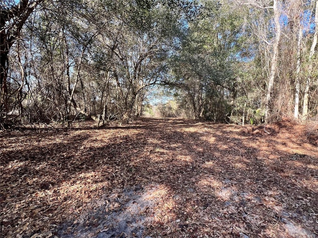 Picture 15