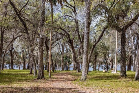 Waterfront Hunting Land with Private Lake