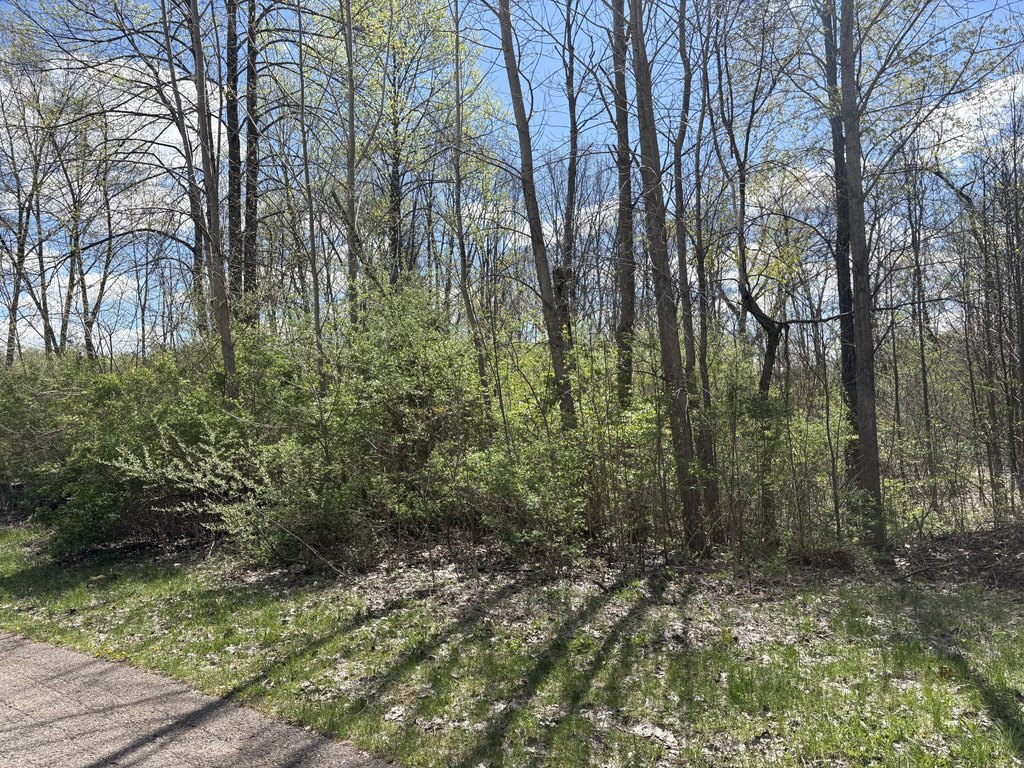 Picture 2
