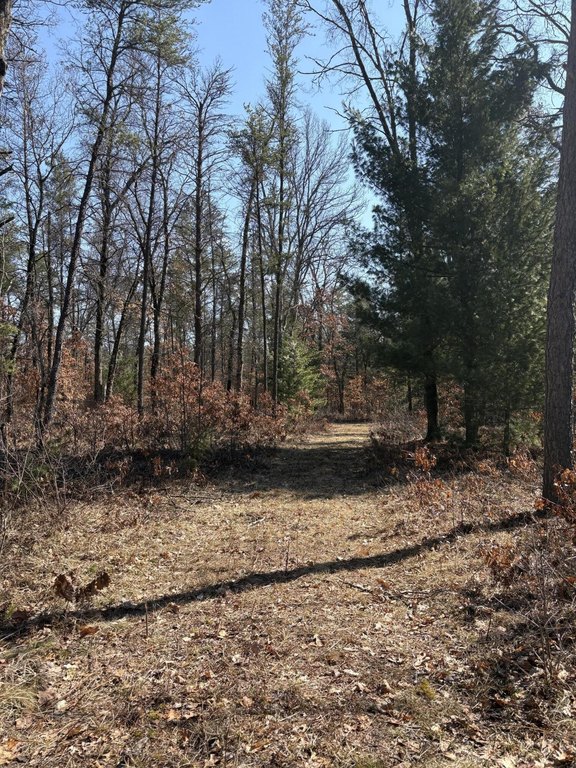 Picture 16