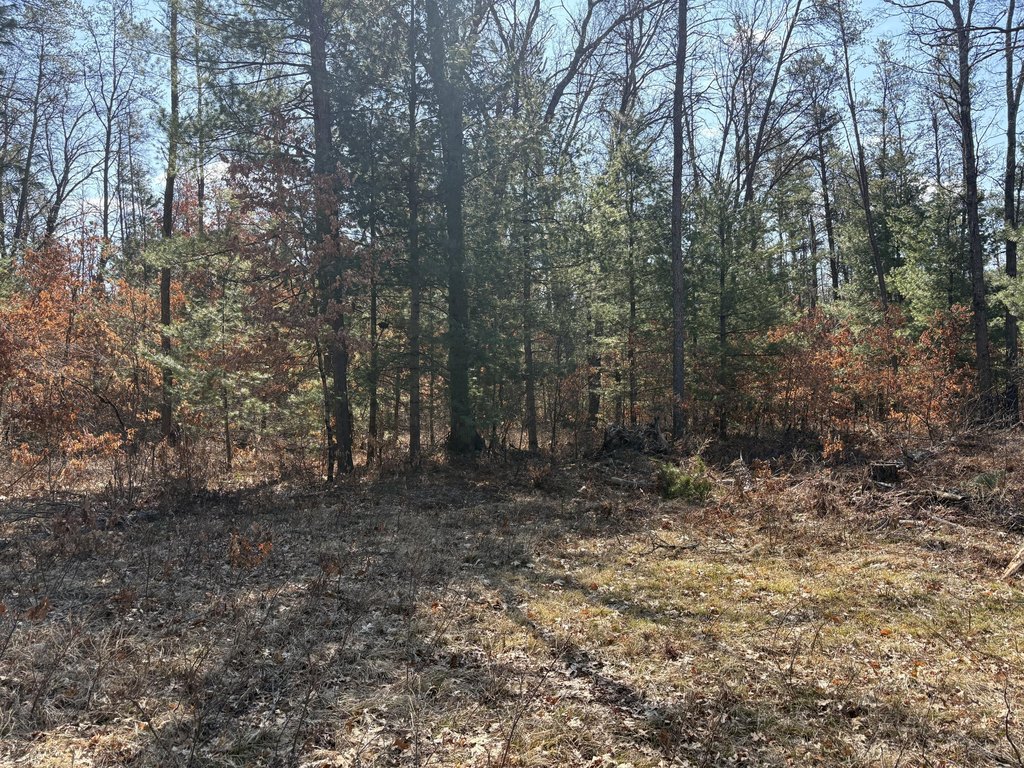 Picture 14