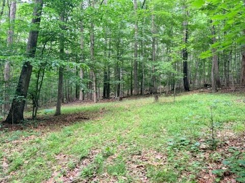 Undeveloped Recreational Land Tract