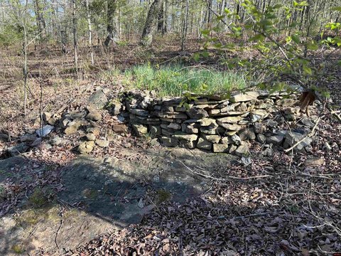 Secluded Timberland for Hunting/Cabin