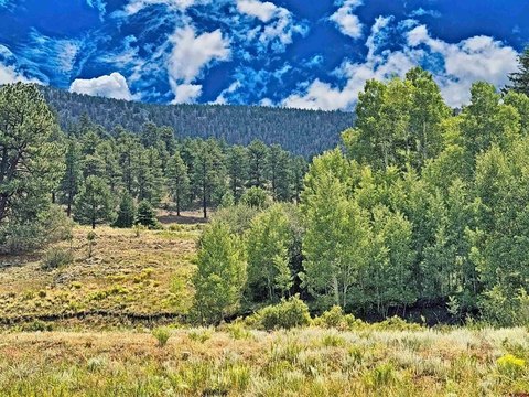 LAND, South Fork, CO