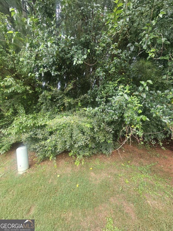Picture 11