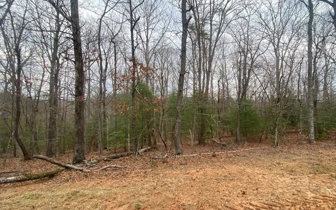 Unrestricted Mountain Land Parcel