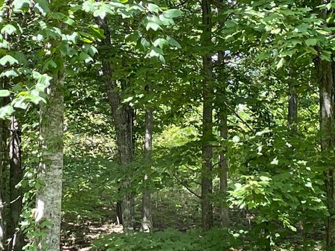 Land, Dunlap, TN