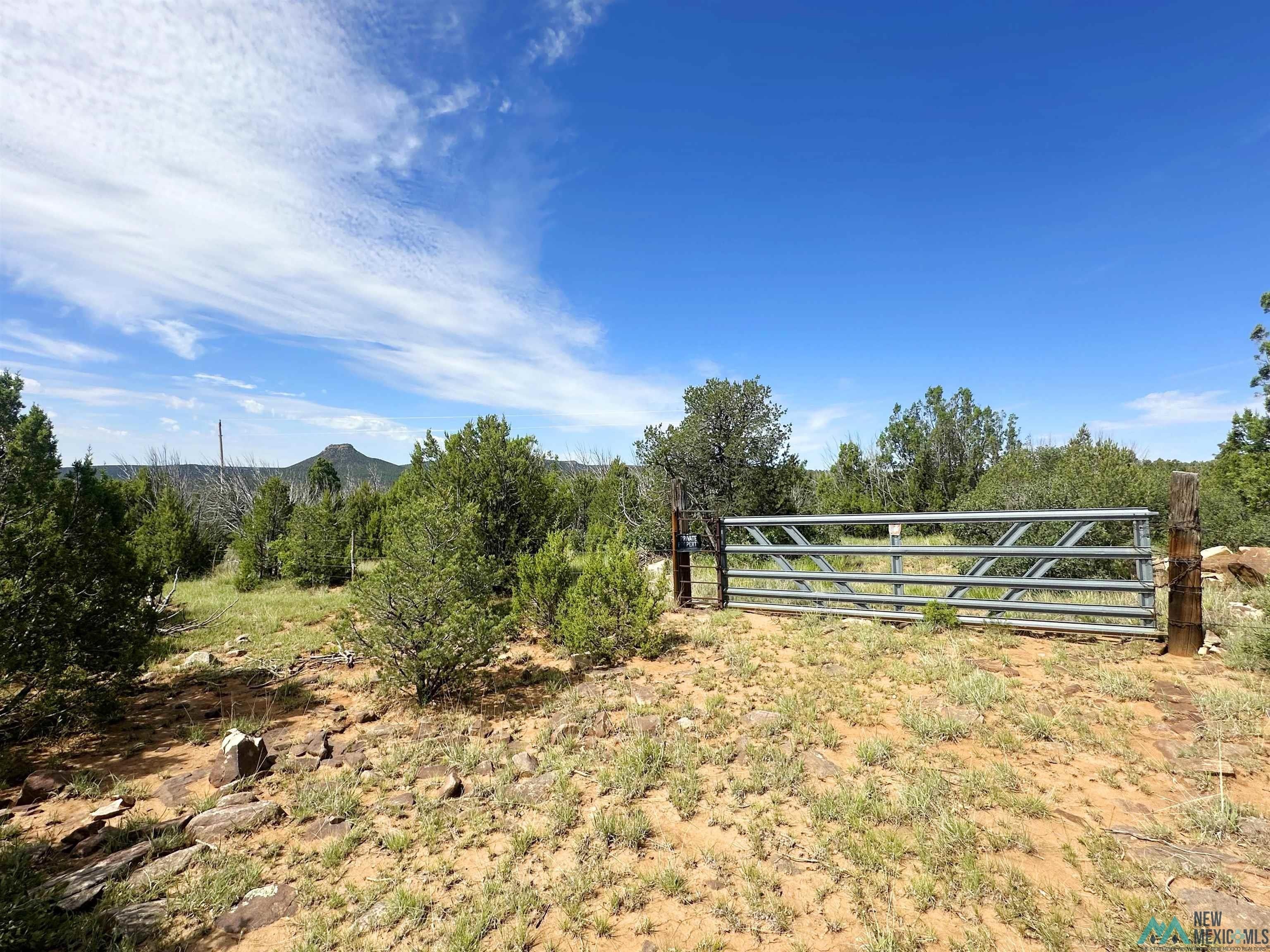 Serafina, NM 10-Acre Parcel