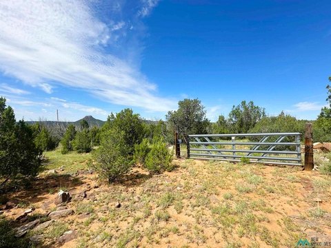 Land, Serafina, NM