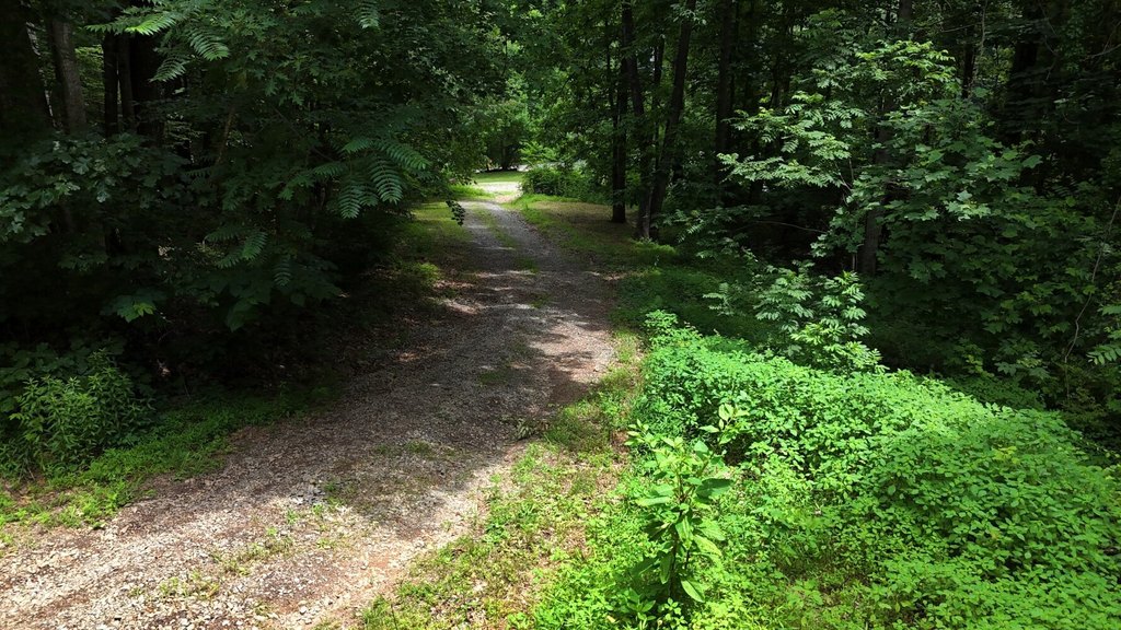 Picture 27